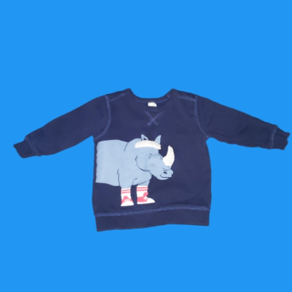 The Children's Place Other - 💫Host Pick💫Children's Place Sweatshirt